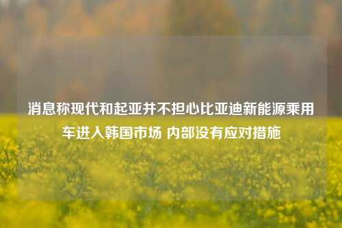 消息称现代和起亚并不担心比亚迪新能源乘用车进入韩国市场 内部没有应对措施