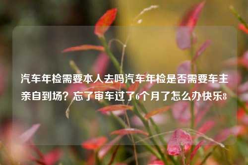 汽车年检相关内容