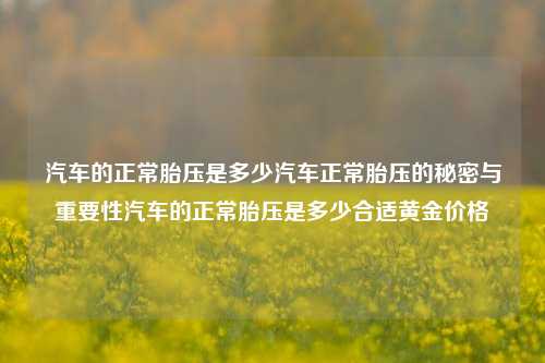 汽车的正常胎压是多少汽车正常胎压的秘密与重要性汽车的正常胎压是多少合适黄金价格