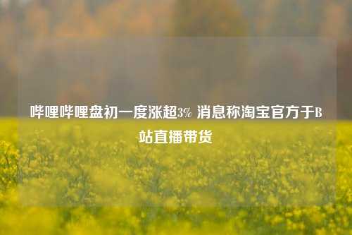 哔哩哔哩盘初一度涨超3% 消息称淘宝官方于B站直播带货