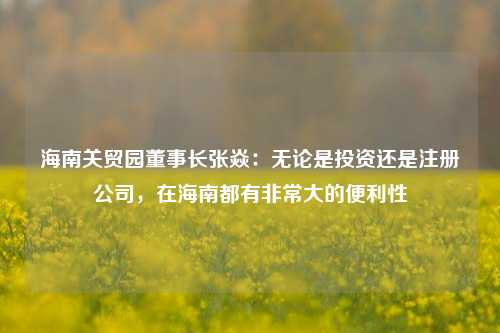 海南关贸园董事长张焱：无论是投资还是注册公司，在海南都有非常大的便利性